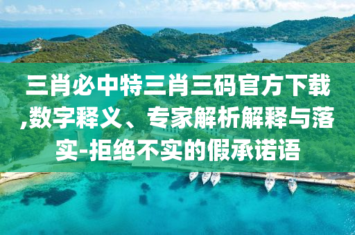 三肖必中特三肖三碼官方下載,數(shù)字釋義、專家解析解釋與落實(shí)-拒絕不實(shí)的假承諾語